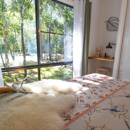Airlie Beach Eco Cabins - Adults Only Екстер'єр фото