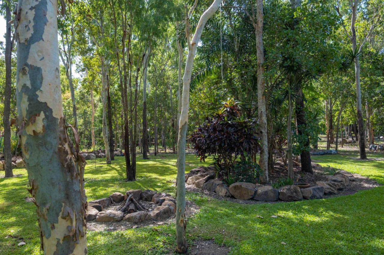 Airlie Beach Eco Cabins - Adults Only Екстер'єр фото