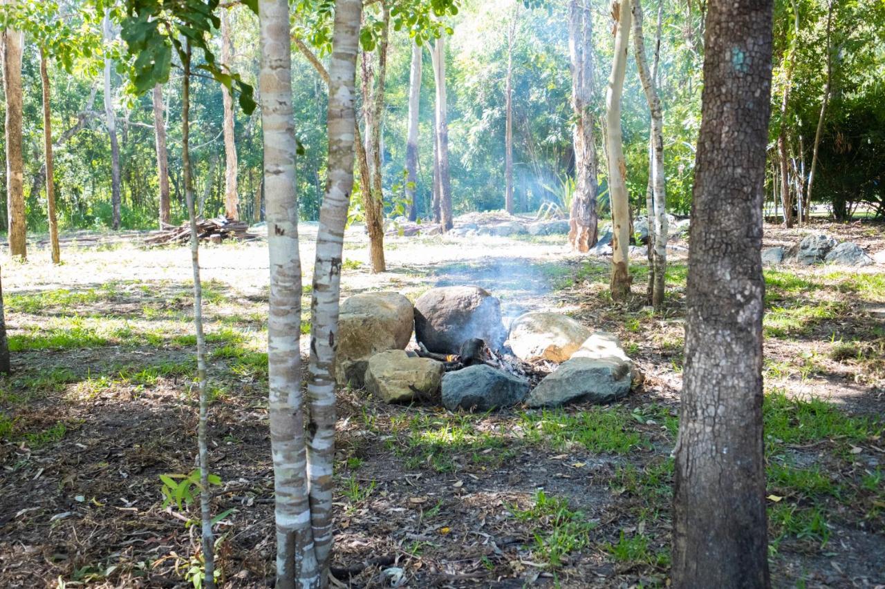 Airlie Beach Eco Cabins - Adults Only Екстер'єр фото