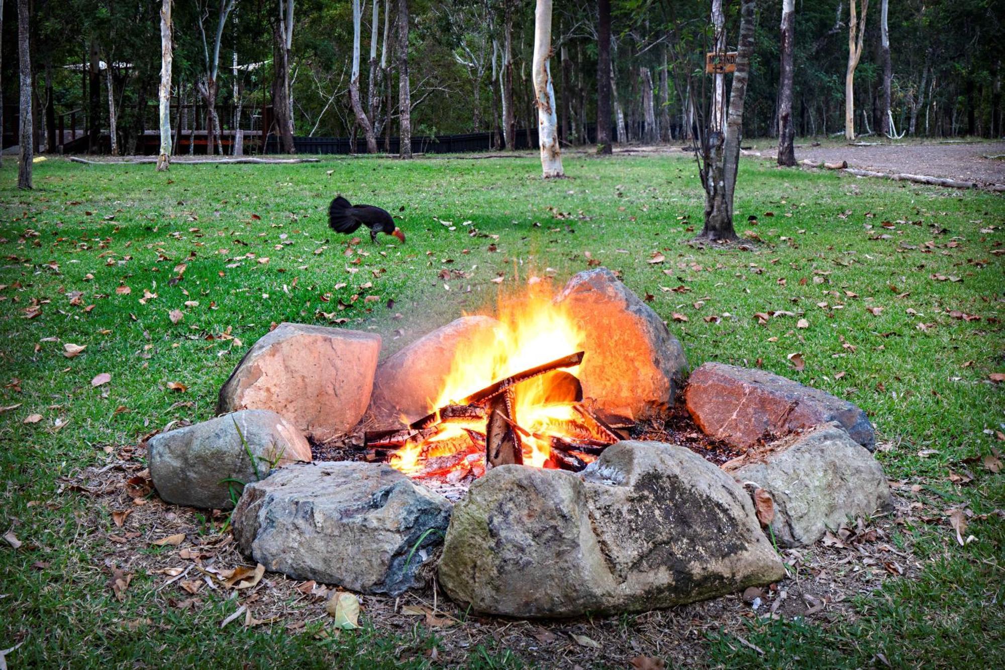 Airlie Beach Eco Cabins - Adults Only Екстер'єр фото